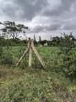 A picture of Kiwanja kinaunzwa burka arusha