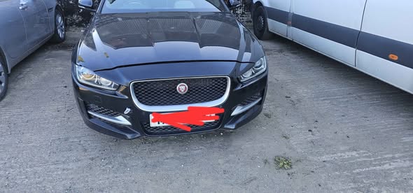 jaguar