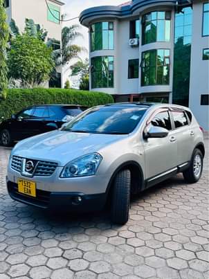A picture of Nissan Dualis