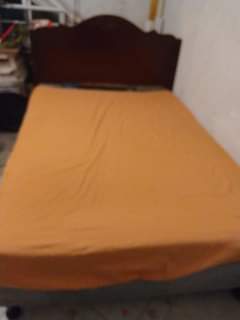 Rena N.