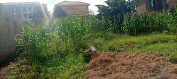 A picture of Call for grab 0705426280 25 45ft land with power and