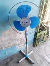 fans