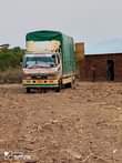 A picture of Fuso