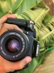 A picture of CANON 350d
