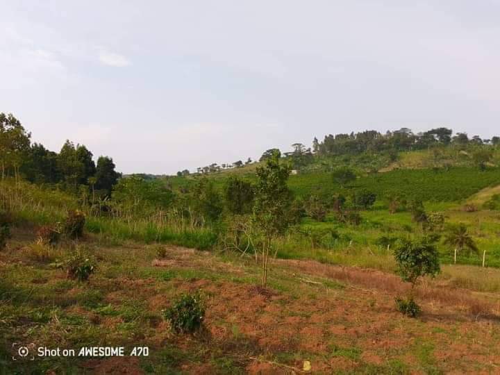 houses matugga