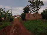 A picture of Two plots on quick sale at Buloba Nabukalu