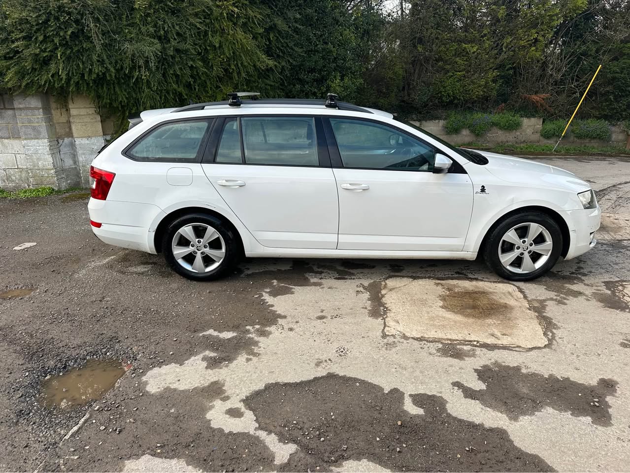 skoda octavia