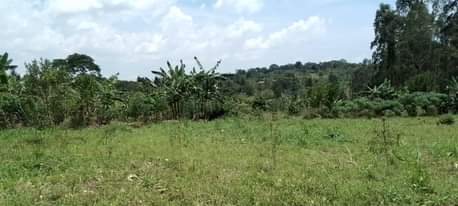 A picture of 50 100 plots at 13m Matugga Kiwebwa 1.5km off Tarmac