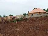 A picture of Get your own plot today from 1 7m power and