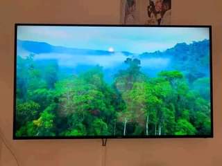 classifieds/tvs