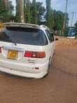 A picture of Ipsum 8million now now 0703290353