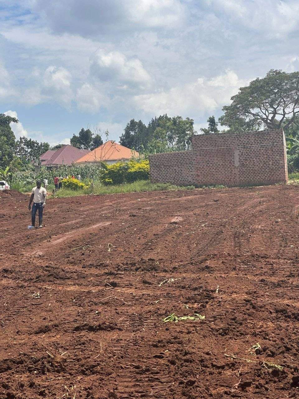 A picture of KAKIRI DAMBWE ESTATE