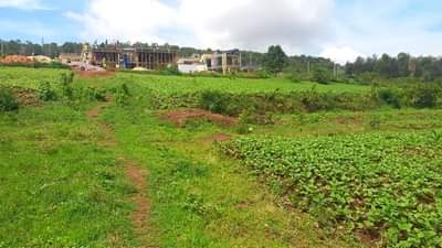 kinyinya accommodation