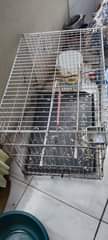 A picture of CAGE