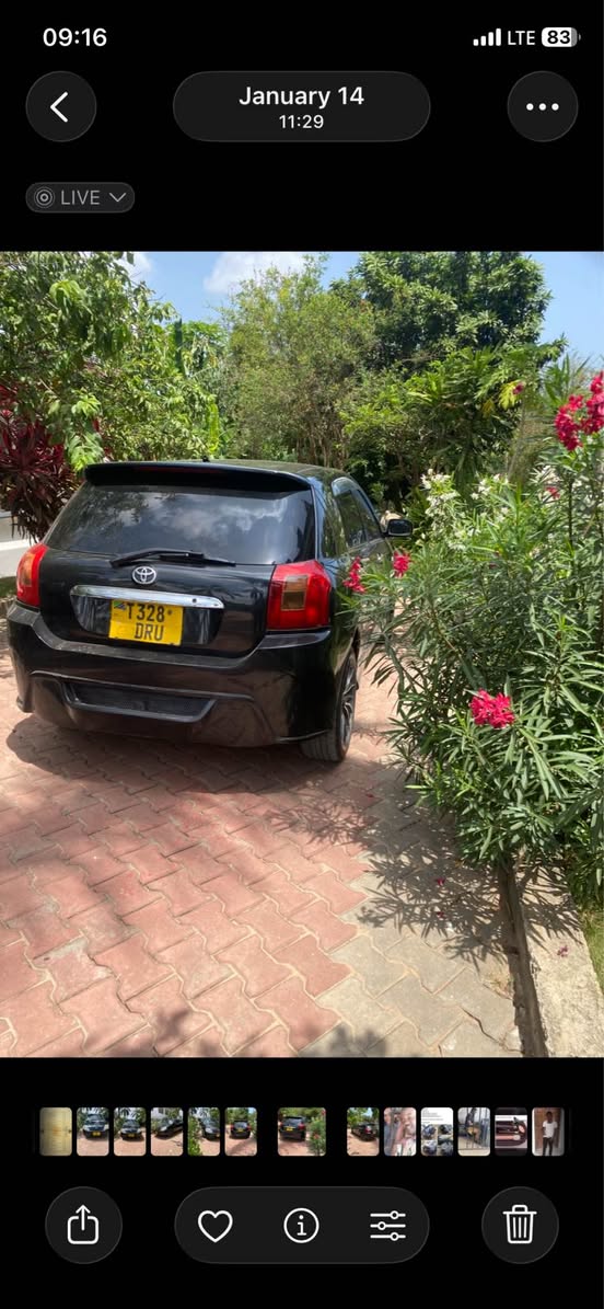 A picture of Toyota alllex