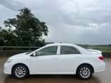 A picture of Toks