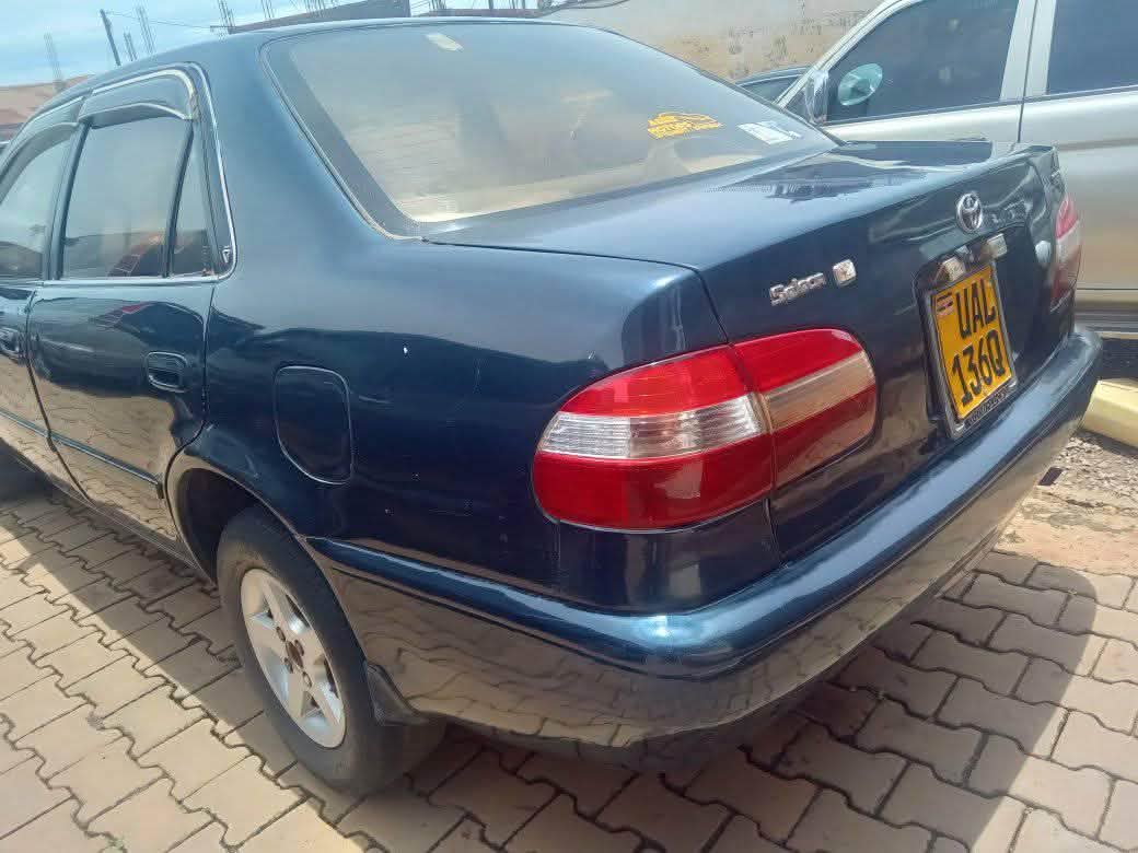 toyota kikumi