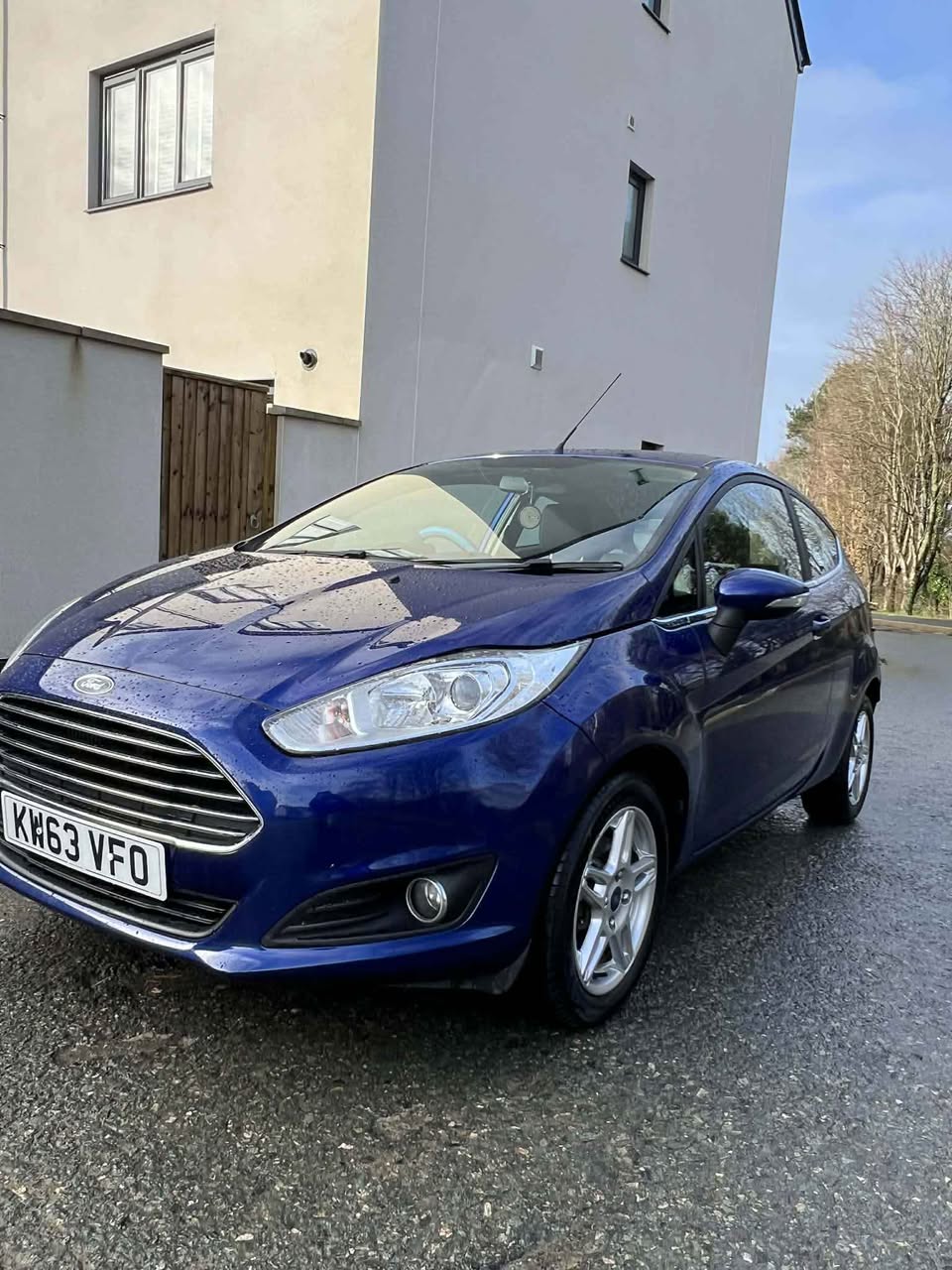 ford zetec