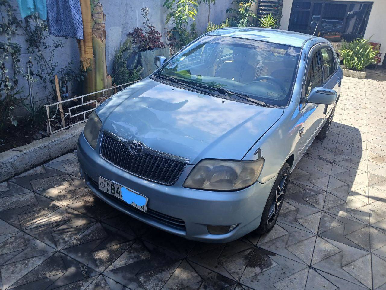 used toyota corolla