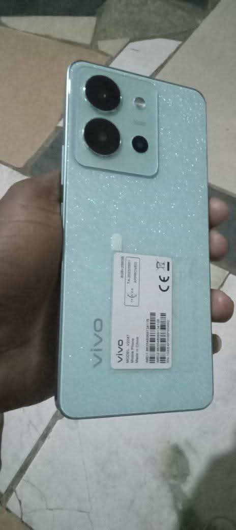 polo vivo