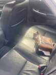 A picture of Honda Accord EOD