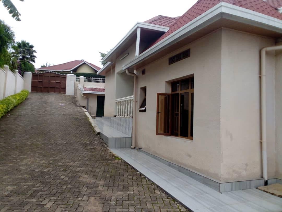 houses for rent