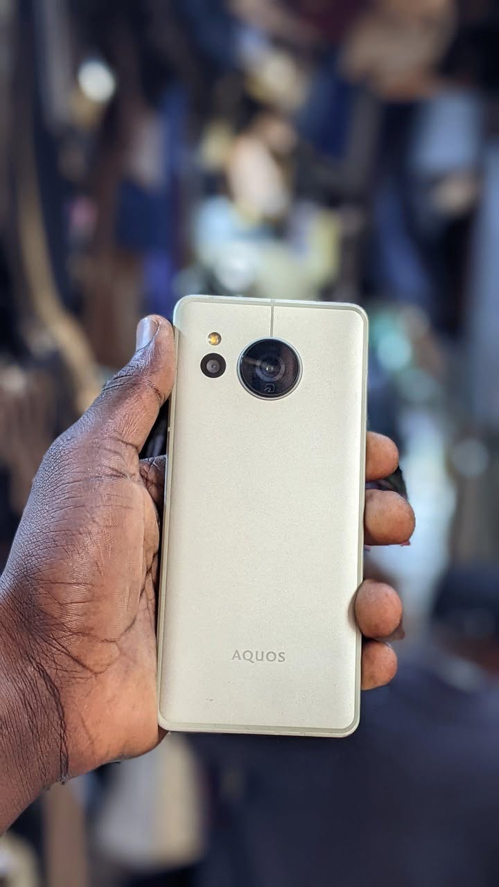 A picture of AQUOS SENSE 8