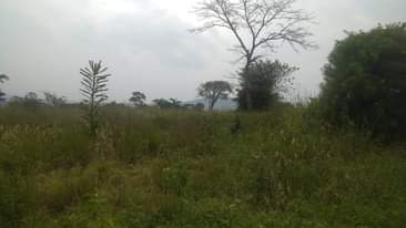 A picture of 10 acres of land in Mityana Namutamba at 10 millions