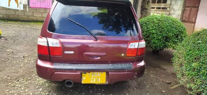 A picture of subaru foresta