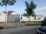 A picture of 0754908045 IMESHUKA BEI SASA NI TSHG MIL 80 000 000