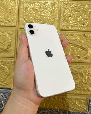 iphone 11pro