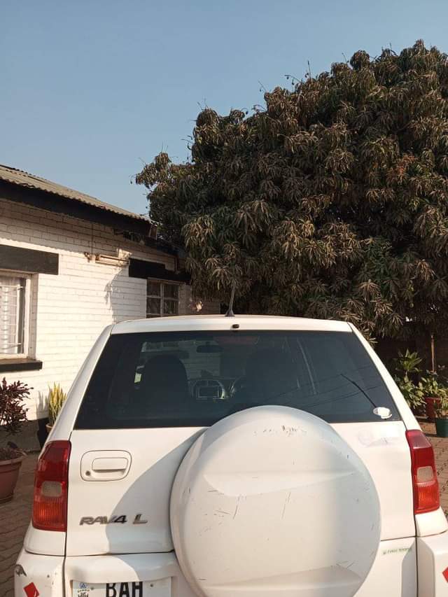 used toyota rav4