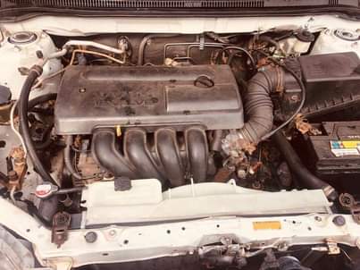 A picture of 2005 Toyota Matrix