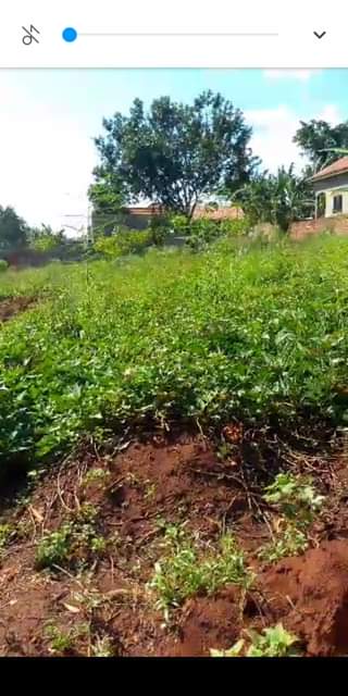 A picture of Land