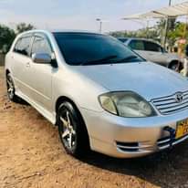 A picture of Toyota Runex