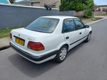 Jade S.
