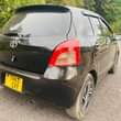 A picture of Vitz