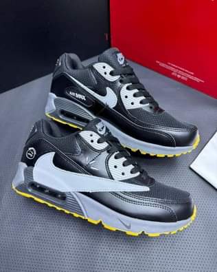 A picture of Air max