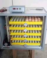 A picture of CHICK INCUBATOR