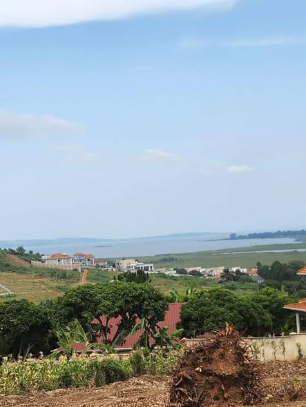 A picture of PLOTS FORSALE IN NAMULANDA BWEYA ENTEBBE ROAD 12DECIMALS AT 120M
