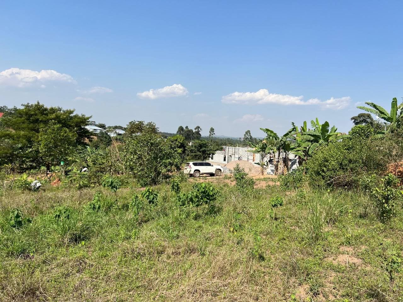 A picture of Plot in bugema at 25m with title