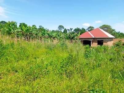 A picture of  9.5 READY TITLE PLOTS ON QUICK SALE 9.5m kisubuzi