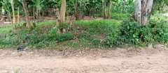 A picture of 50by100 at 37m Gayaza Bukemba