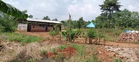 A picture of Mukono kalaji plot on quick sale