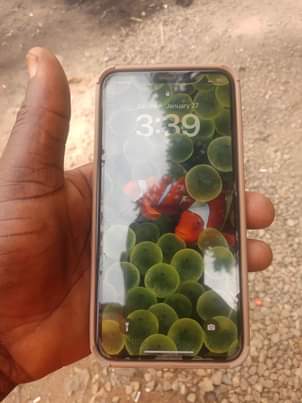 A picture of iPhone 11 pro max 256 GB rom