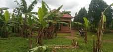 A picture of 25m only GAYAZA BUSIIKA VUMBA 3 Bedrooms sttg dnng kitchen
