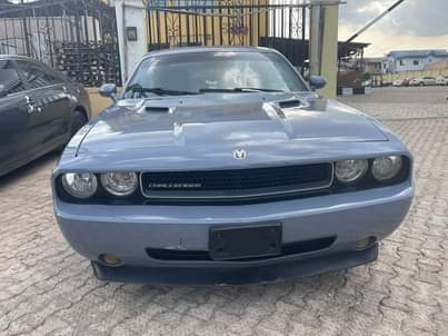 A picture of Dodger challenger