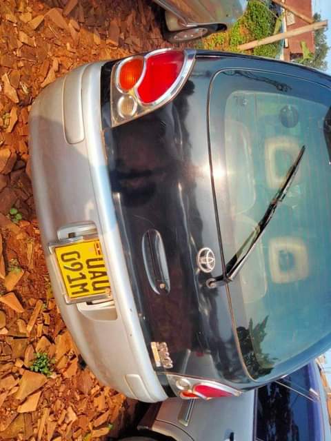 Cars F.