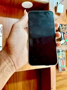 A picture of iPhone XR. CLEAN