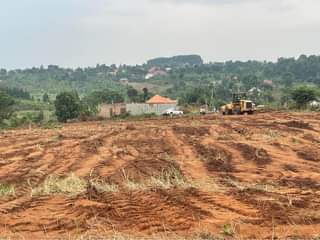 A picture of Plots at 28m Kiwenda